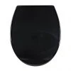 Aqualona Duroplast Soft Close Toilet Seat with Quick Release - Black - 77504 1 Aqualona Duroplast Soft Close Toilet Seat with Quick Release - Black - 77504 -FlushPro Shop 77504 P