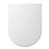 Euroshowers ONE Seat Long Elongated D-Shape Soft Close Toilet Seat - White - 88310 -FlushPro Shop 80410 n p