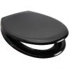 Euroshowers Rainbow Soft Close Toilet Seat - Black - 84490 1 Euroshowers Rainbow Soft Close Toilet Seat - Black - 84490 -FlushPro Shop 84490 P
