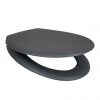 Arezzo Matt Grey Soft Close Toilet Seat 2 Arezzo Matt Grey Soft Close Toilet Seat -FlushPro Shop AZ GRY TS p