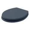 Bayswater Stiffkey Blue Fitzroy Soft Close Toilet Seat -FlushPro Shop BAYF152 P