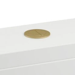 Britton Bathrooms Cistern Flush Button - Brushed Brass