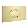 Cruze Large Push Button Plate Brushed Brass 1 Cruze Large Push Button Plate Brushed Brass -FlushPro Shop CBBPB01 prod