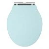 Old London Ryther Duck Egg Blue Wooden Soft Close Toilet Seat