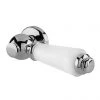 Hudson Reed White Ceramic Cistern Lever - E370 -FlushPro Shop E370 P