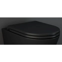 RAK Feeling Soft Close Seat in Matt Black