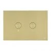 JTP Brushed Brass Steel Pneumatic Flush Plate 2 JTP Brushed Brass Steel Pneumatic Flush Plate -FlushPro Shop FPBBR n p