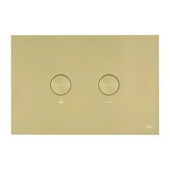 JTP Brushed Brass Steel Pneumatic Flush Plate