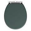Chatsworth Green Soft Close Toilet Seat -FlushPro Shop GRNCHATTS p