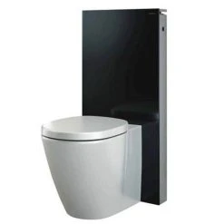 Toilet Accessories shop -FlushPro Shop Geberit Monolith WC Unit Cistern for Floorstanding WCs Black d1 375
