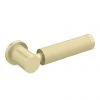 Arezzo Industrial Style Brushed Brass Knurled Grip Cistern Lever -FlushPro Shop ISBBCL p