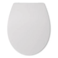 Alaska Oval Slim Toilet Seat -FlushPro Shop OSLTS2Y D2 460