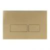 Crosswater MPRO Brushed Brass Dual Flush Plate - PROFLUSHF 1 Crosswater MPRO Brushed Brass Dual Flush Plate - PROFLUSHF -FlushPro Shop PROFLUSHF p