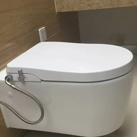 RAK Manual Non-Electric Bidet Function Soft Close Toilet Seat 5 RAK Manual Non-Electric Bidet Function Soft Close Toilet Seat - Image 3