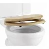 Burlington Soft Close Golden Oak Toilet Seat - S16 -FlushPro Shop S16 P