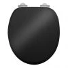 Burlington Soft Close Toilet Seat with Chrome Hinges - Gloss Black -FlushPro Shop S40 P