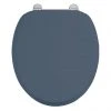 Burlington Soft Close Toilet Seat with Chrome Hinges - Blue 1 Burlington Soft Close Toilet Seat with Chrome Hinges - Blue -FlushPro Shop S99 P