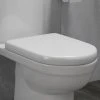 D-Shaped Rapid Fix Soft Close Toilet Seat -FlushPro Shop SEA007 p