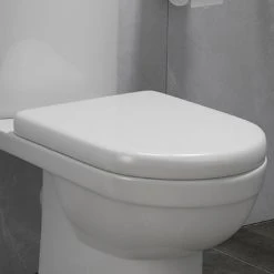 D-Shaped Rapid Fix Soft Close Toilet Seat