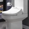 Smart Bidet Toilet Seat