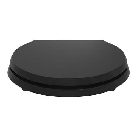 Ideal Standard Waverley Black Standard Toilet Seat & Cover 4 Ideal Standard Waverley Black Standard Toilet Seat & Cover - Image 2