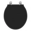 Ideal Standard Waverley Black Standard Toilet Seat & Cover -FlushPro Shop U0248GB P