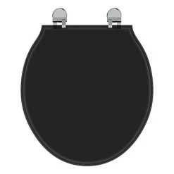 Ideal Standard Waverley Black Standard Toilet Seat & Cover
