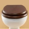 Silverdale BTW Traditional Luxury Mahogany Wooden Toilet Seat -FlushPro Shop VCBTWSEACHHMAH P